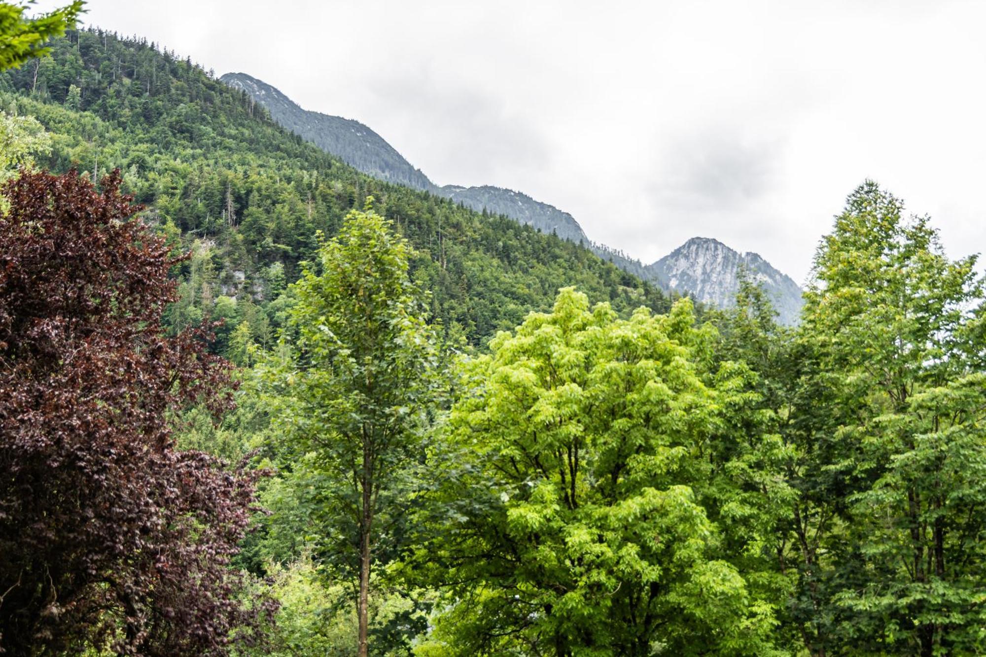 Alpin-Chalet In Alleinlage In Bad Ischl - Wald, Natur, Kamin & Sauna Экстерьер фото
